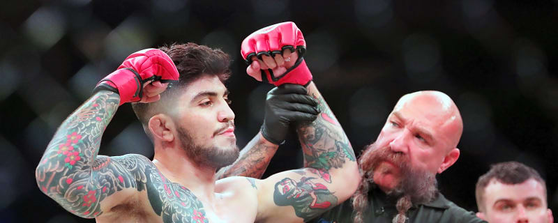 Islam Makhachev reacts to Dillon Danis brawl