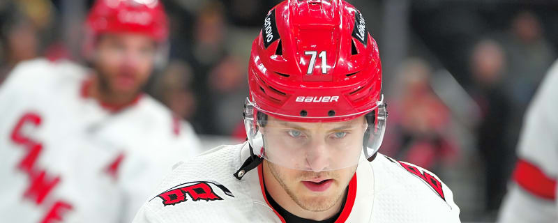 Hurricanes hire former player as development coach