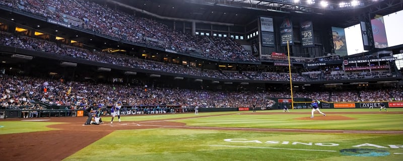 Diamondbacks ban fan 'involved in multiple offenses'