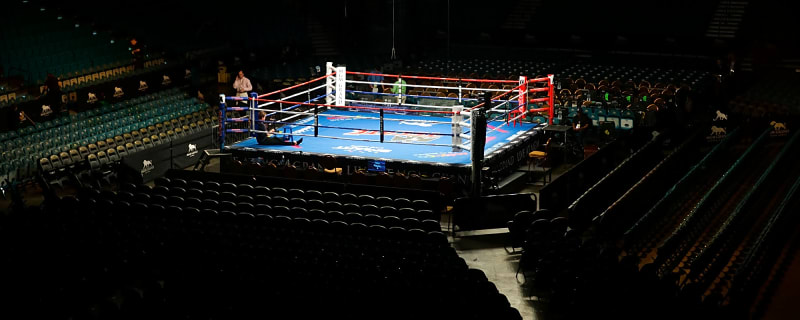 Eimantas Stanionis Vs. Jabulani Makhense – How Does It Play Out?