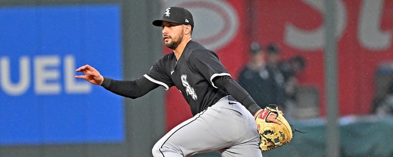 White Sox designate journeyman infielder for assignment