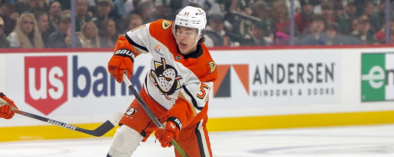 Top Ducks Offensive Defenseman Hits the Trade Market as Next Season Approaches