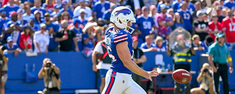 Why Did the Steelers Add Another Punter?