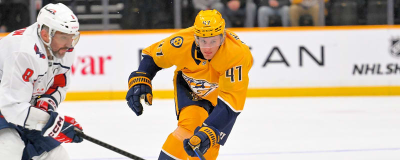 Wild Add Size by Picking Up Michael McCarron from Predators