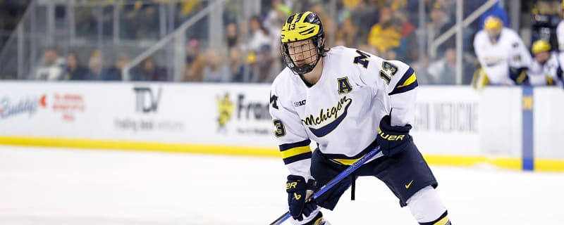 Habs Potential College Free Agent Target: T.J. Hughes