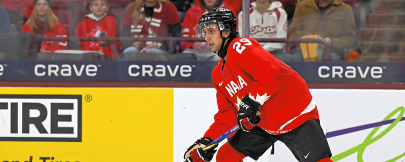 Hughes’s 'big catches' are Hage, Laine, and (possibly) Reinbacher.