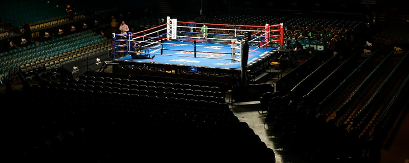 Eimantas Stanionis Vs. Jabulani Makhense Preview