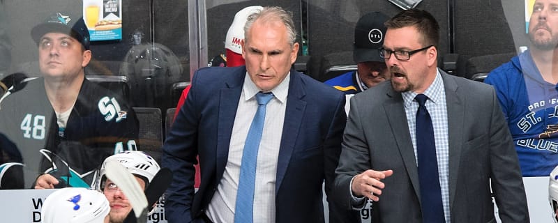 Mike Van Ryn To Step Away From Leafs
