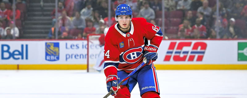 Canadiens Recall David Reinbacher