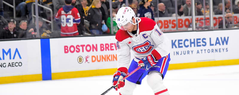 Ranking of the top scorers for each team: Nick Suzuki in 9th place