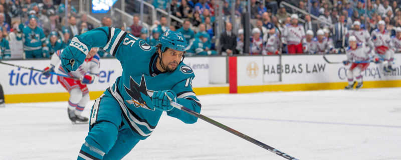 Ryan Reaves Retires at Age 39 After 16 NHL Seasons