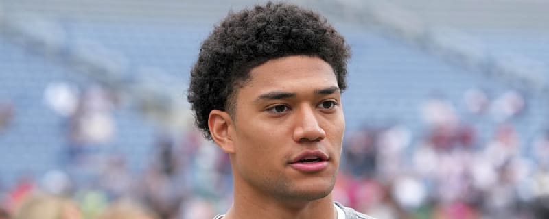 Ravens star defends his coach after brutal loss to Lions