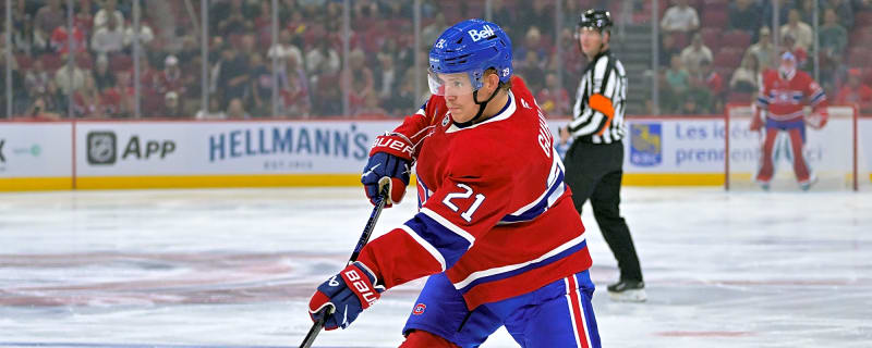 What are the Habs defensemen worth on the market?
