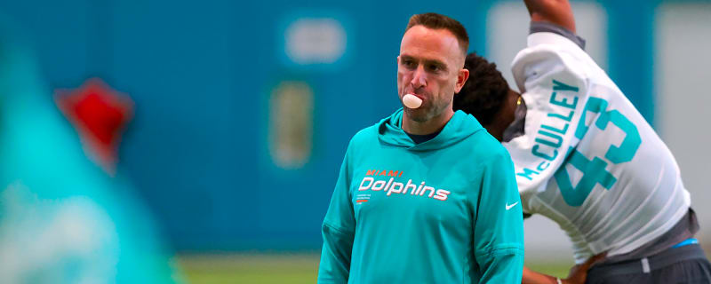 The Foundation of the Miami Dolphins