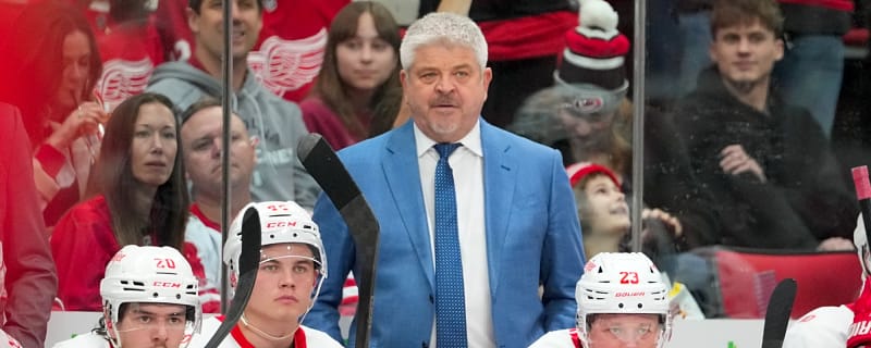 Detroit Red Wings Recall Prospect