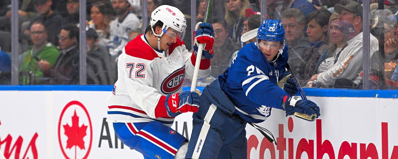 Maple Leafs recall 14 Black Aces as AHL season ends