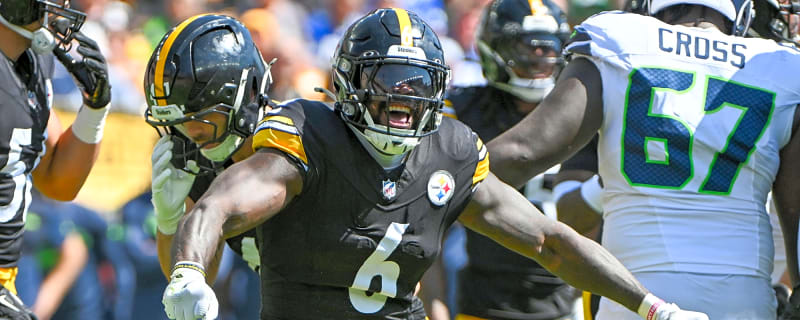 Steelers&#39; Patrick Queen Admits He Will Take Heat But Was Honest About Steelers Home Crowd