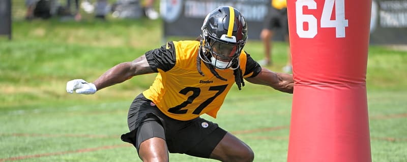 Steelers Defender Gets Hit With Another Devastating Injury After Overcoming Several Setbacks