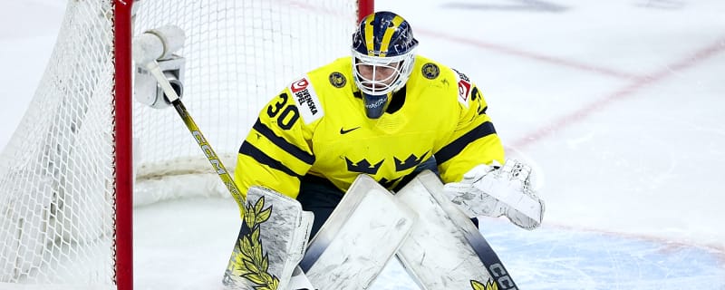 Blues Goalie Prospect Named Finalist for HockeyAllsvenskan MVP in Sweden
