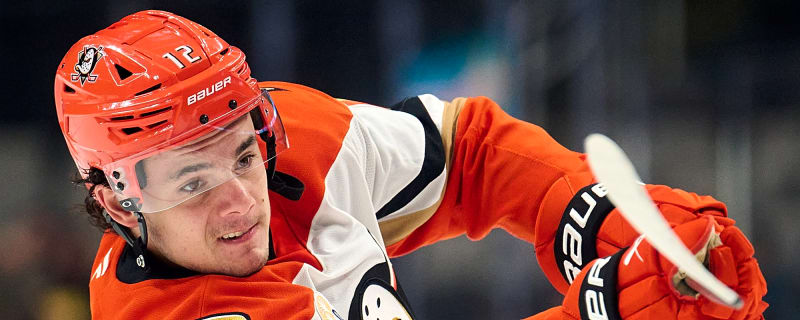 Anaheim Ducks Reassign Sam Colangelo