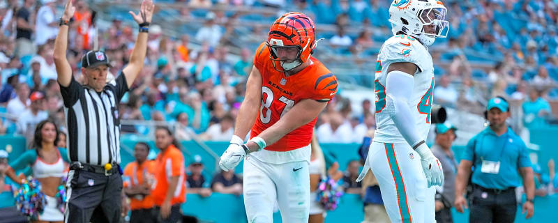 Bengals Place TE Tanner Hudson On IR