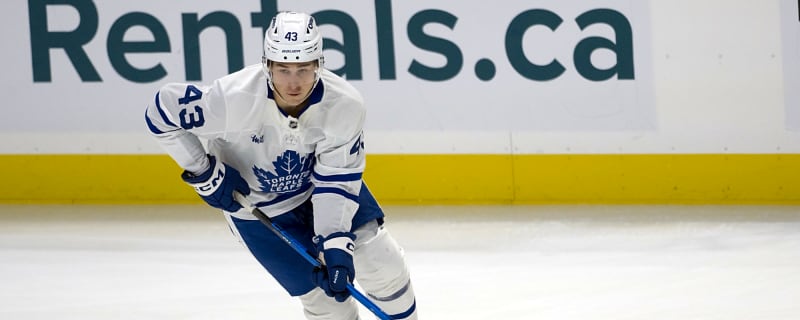 Maple Leafs Reassign Luke Haymes, William Villeneuve