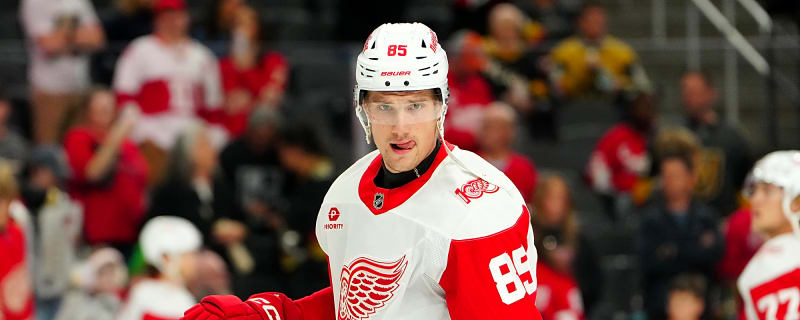 Detroit Red Wings Activate a Forward; Place Another on IR