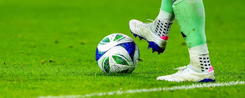 Tottenham can sign the player they lost to Man City next summer, as uncertainty looms over their regular starter