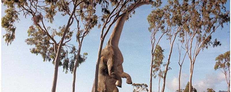 20 famous movie scenes that still gives viewers goosebumps every time