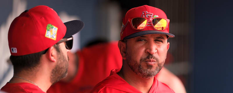 Cardinals Extend Oli Marmol