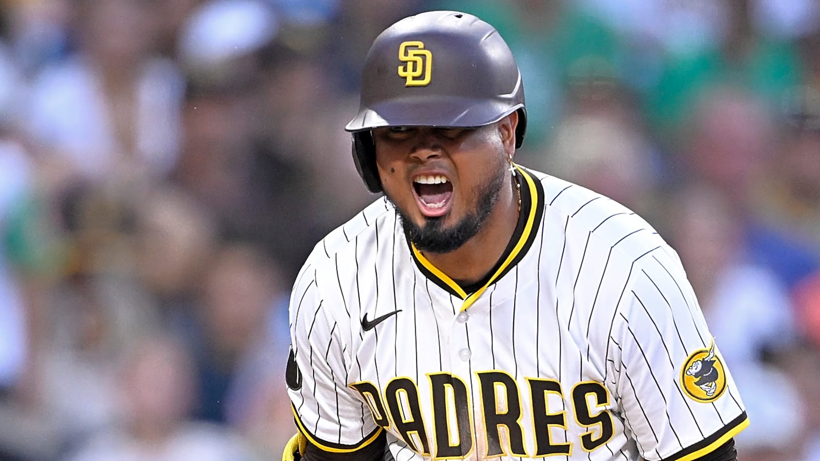 Former batting champion hopes mid-game pushups maintain power