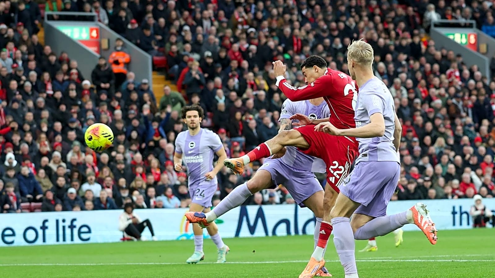 Arne Slot offers revealing Ekitike fitness update after early substitution