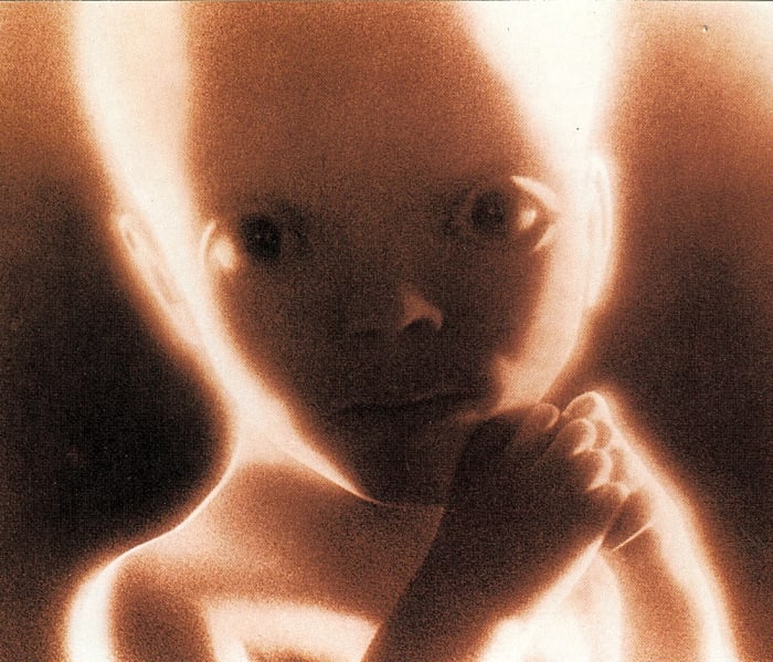 The final visions of '2001: A Space Odyssey'