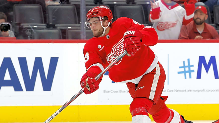 Detroit Red Wings Recall Carter Mazur