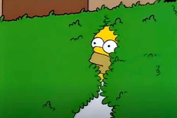 Homer disappearing