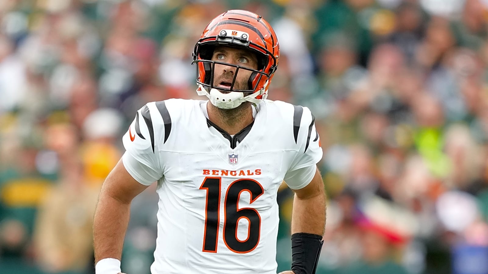 Bengals considered a dozen QBs before acquiring Flacco