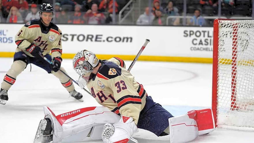 Red Wings call up goaltender amid John Gibson injury