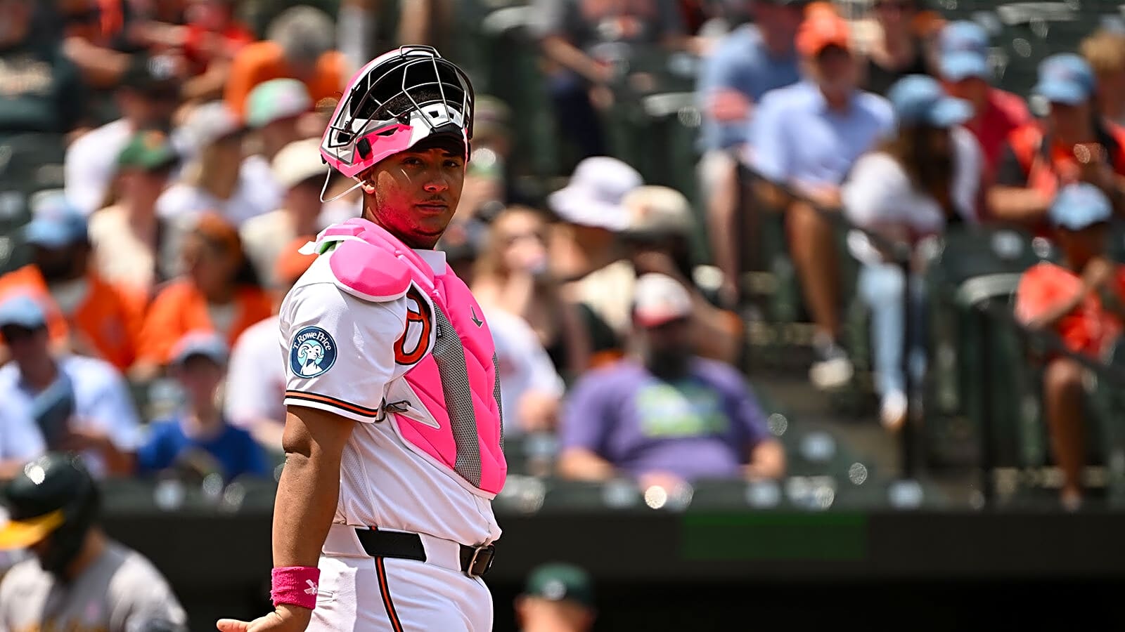 Why Orioles’ Samuel Basallo isn’t playing vs. Yankees