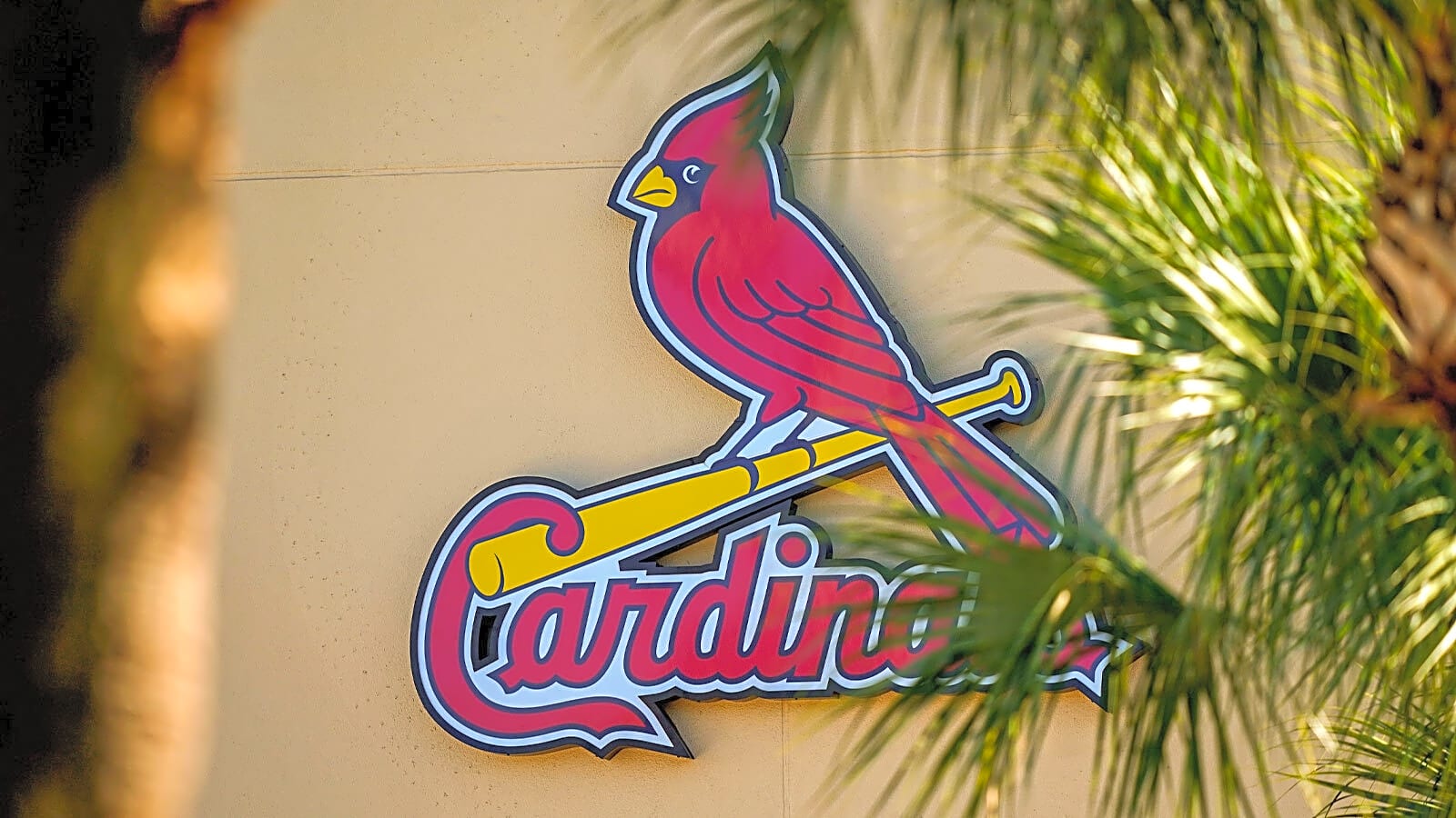 Cardinals DFA veteran reliever with latest roster move