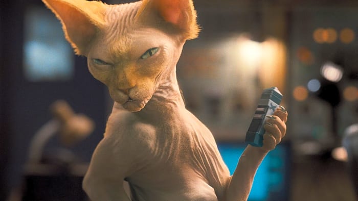 “Cats & Dogs: The Revenge of Kitty Galore” (2010)