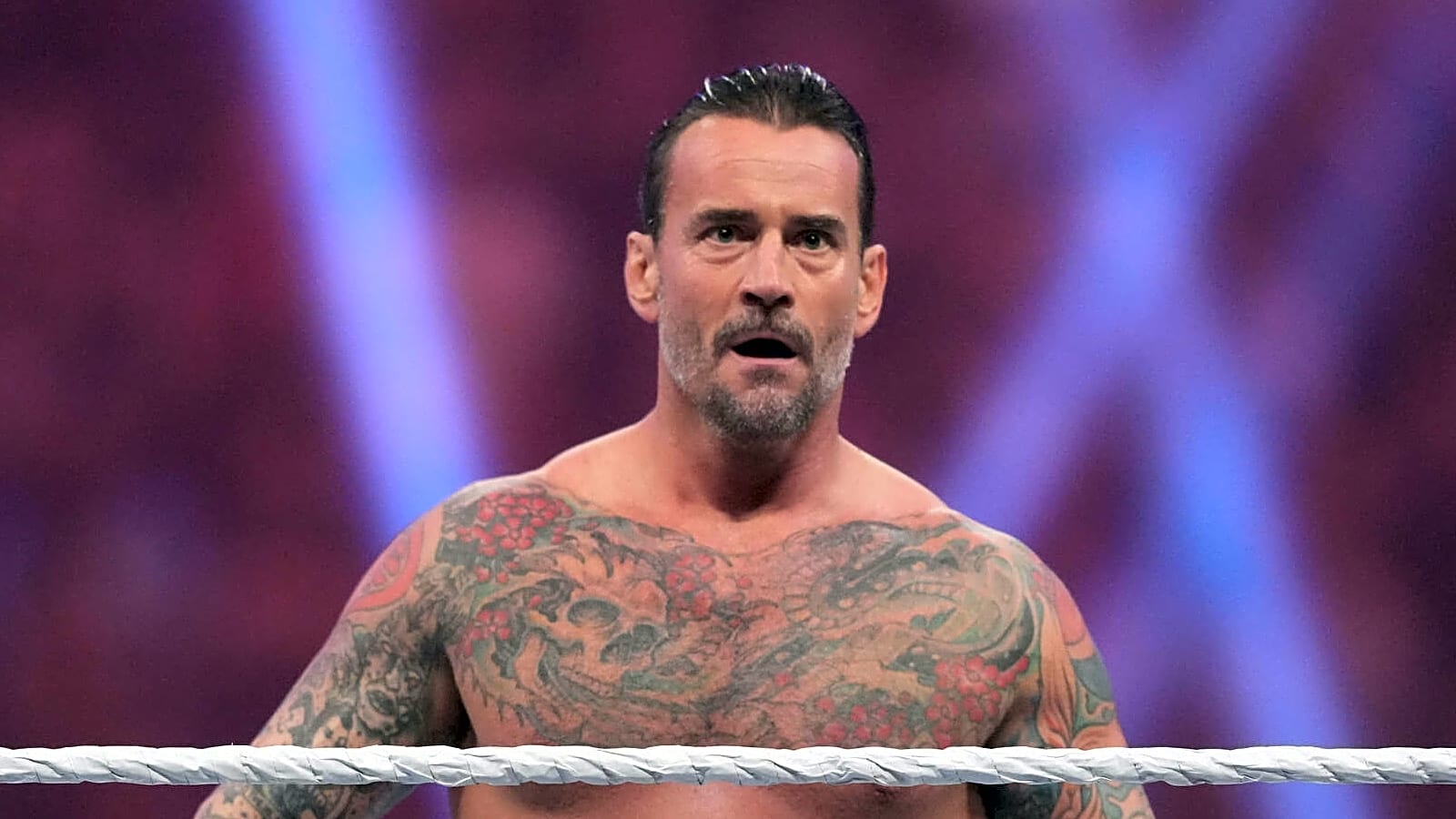 One Of CM Punk&#39;s Most Visible Tattoos Is A Tribute To A Fallen Wrestling Legend