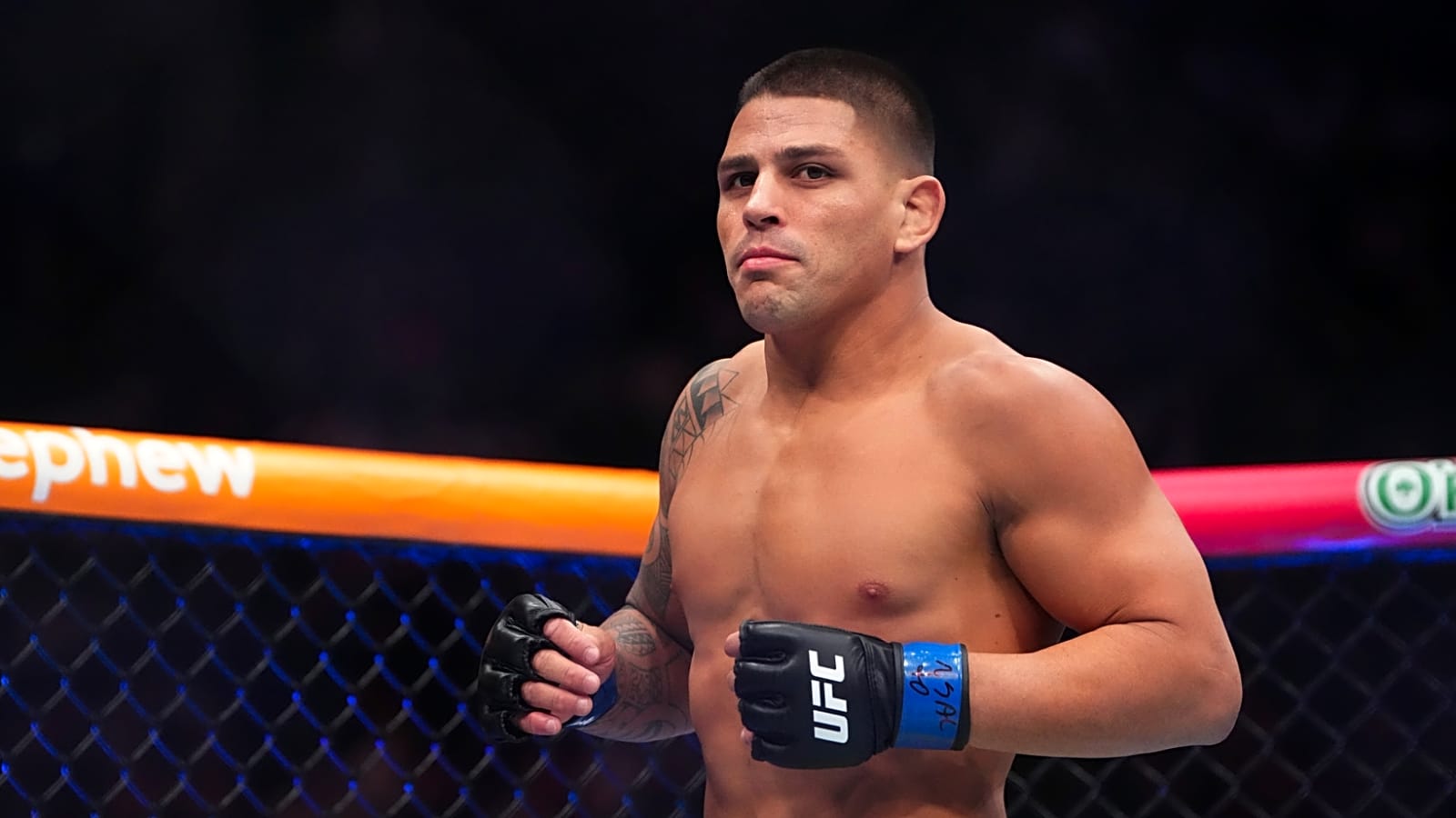 Brunno Ferreira: One Punch Knocks Out Overhyped Aliskerov