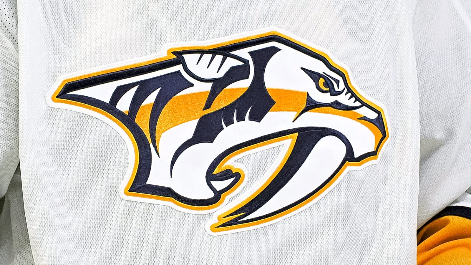 Predators GM Chris MacFarland is taking an expensive shortcut