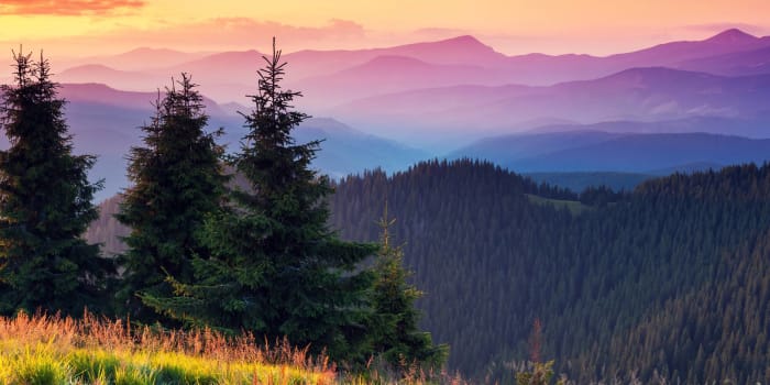 Great Smoky Mountains National Park