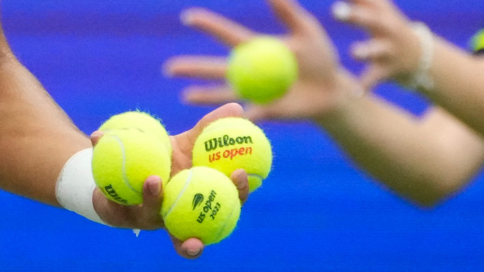 This is how much you can earn in Prize Money at Delray Beach Open 2025