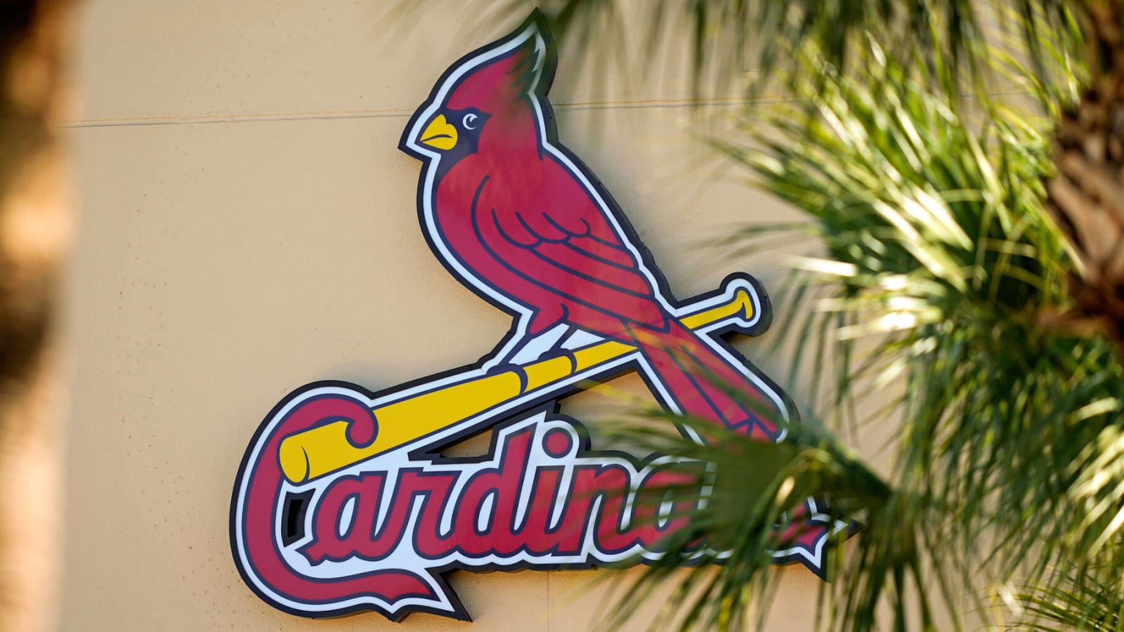 Cardinals announce wild-card roster