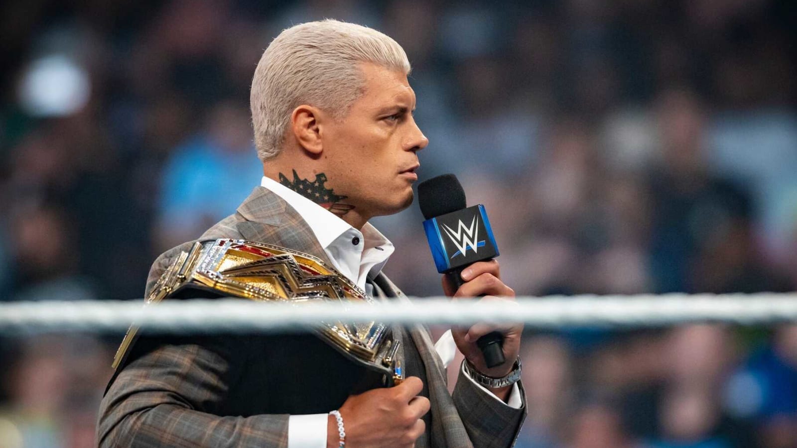 Netflix Promotional Video Confirms New Behind-The-Scenes WWE Series