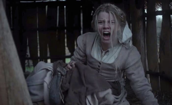 'The Witch' (2016)