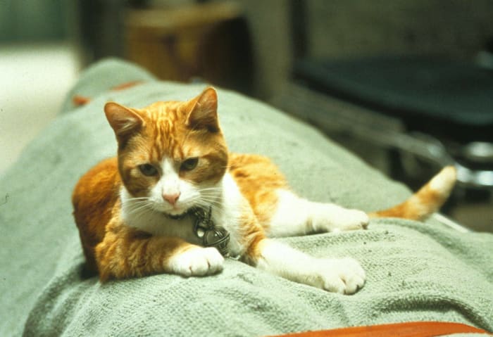 A few plot points were changed late