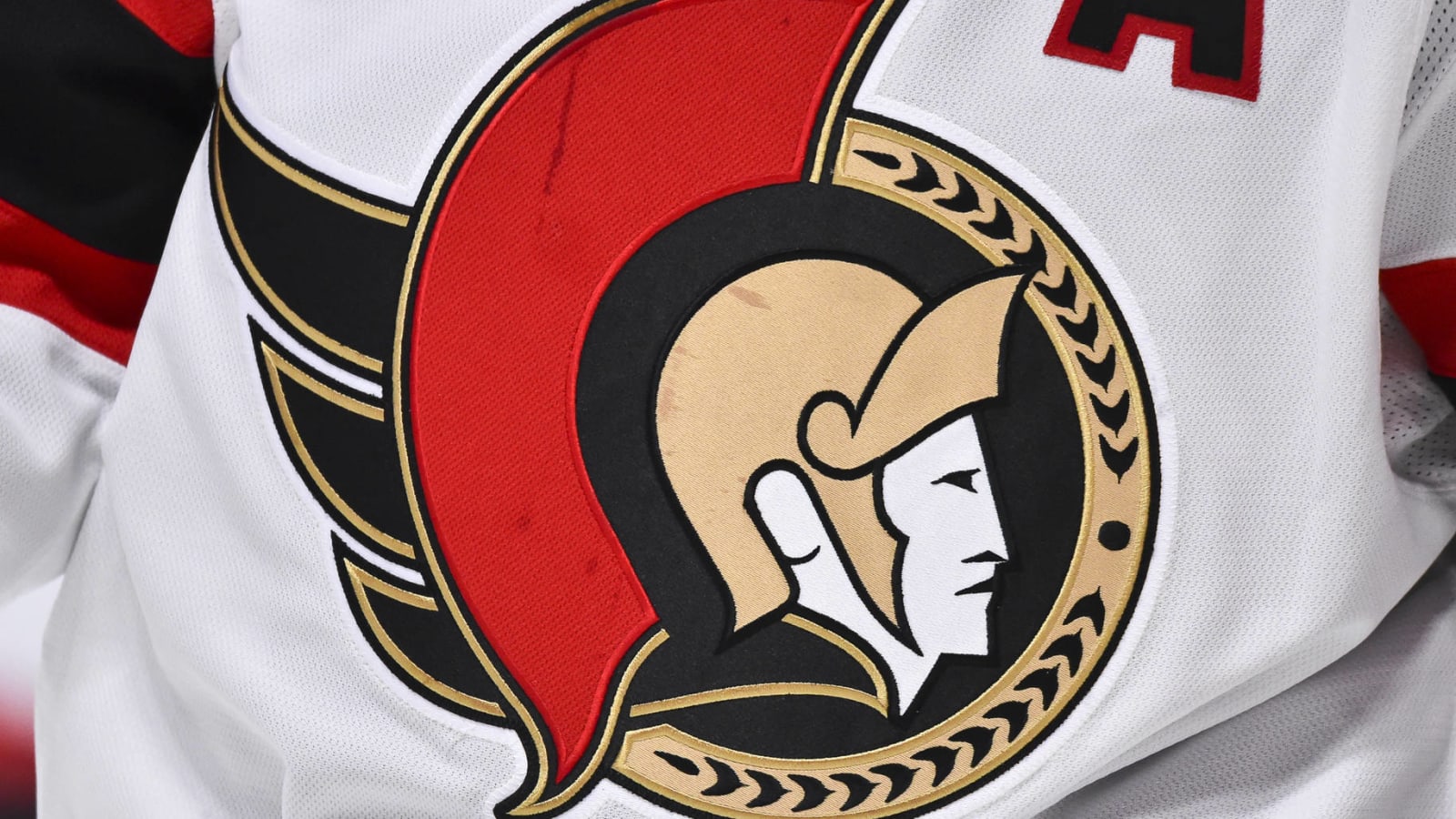 Ottawa Senators extend AHL affiliate HC Troy Mann